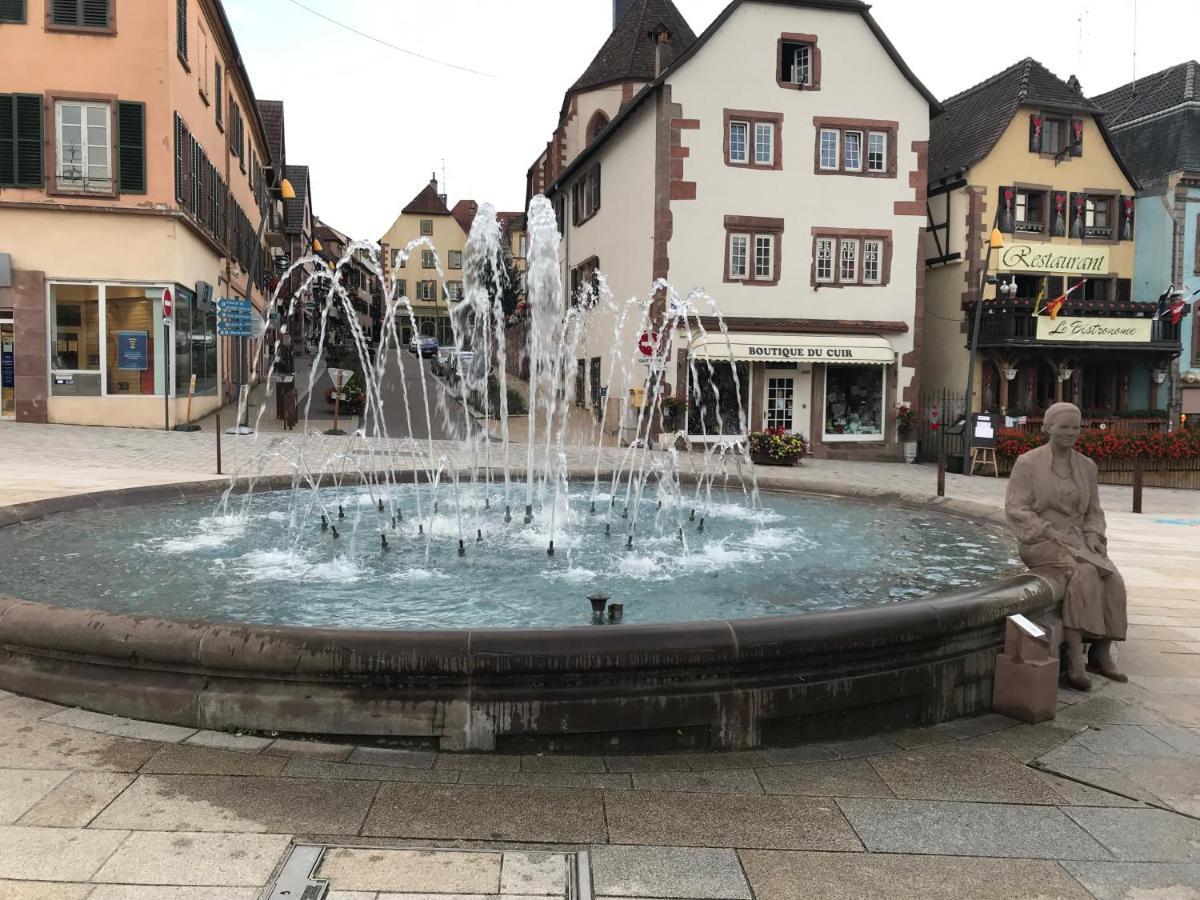 Casasavernoise O Sonho Appart2 Saverne Dış mekan fotoğraf